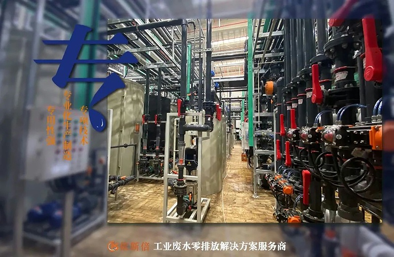 依斯倍環保入選2022年省級專精特新企業