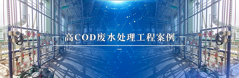 高cod廢水處理工程案例
